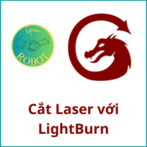 cat laser